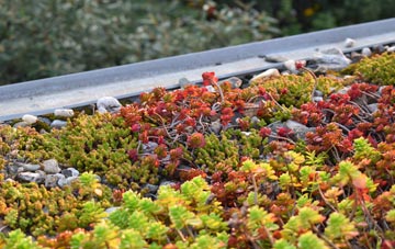 the cost of Salph End green roof installation