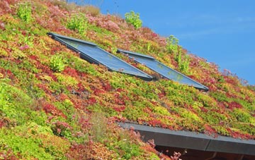 Salph End living roof systems