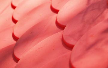 Salph End plastic roof costs